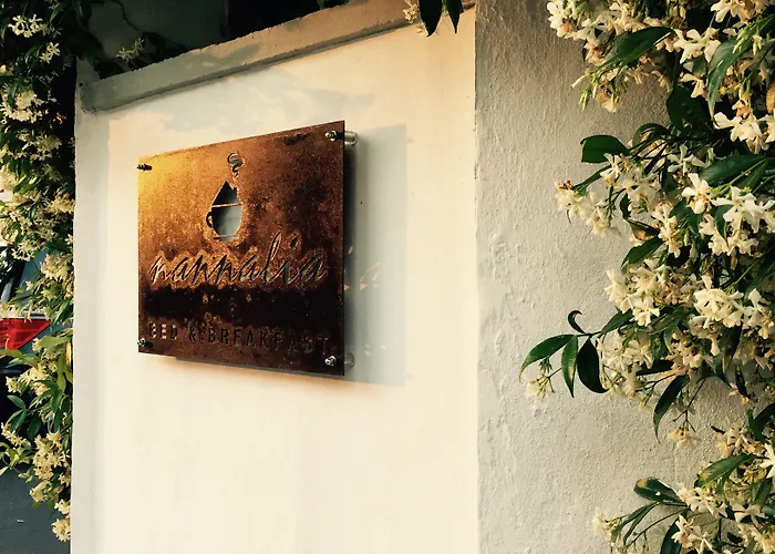 Nannalia Bed & Breakfast Marina Di Carrara